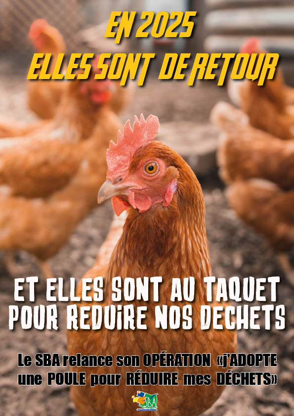 Elles reviennent.jpg